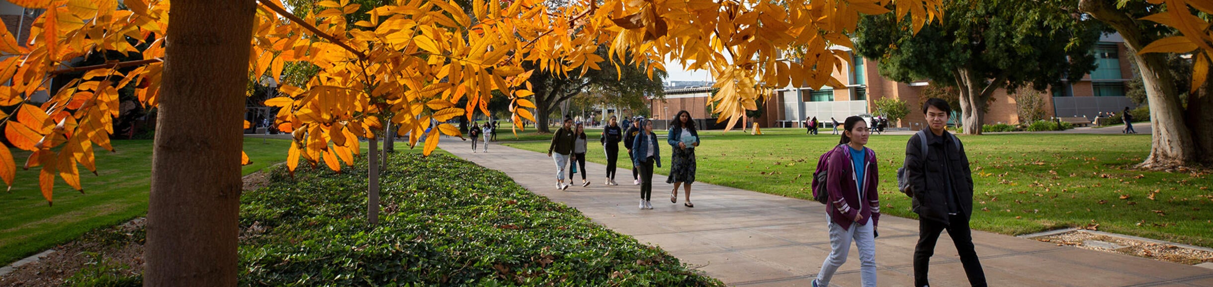 students walking under trees with fall colors (c) UCR