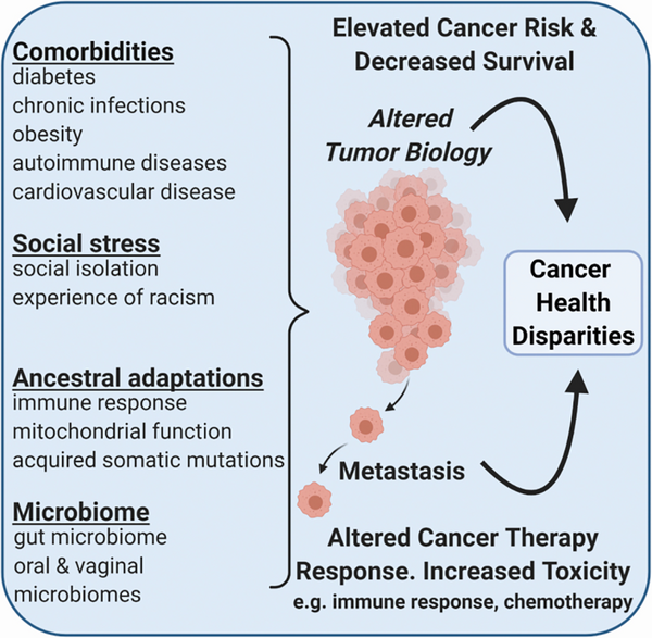 flowchart of influencers of cancer survival