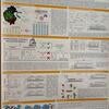 Poster Session